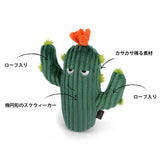 Blooming Buddies Cactus