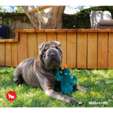 Blooming Buddies Cactus